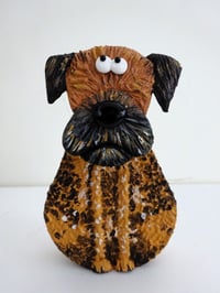 Image 1 of Border Terrier