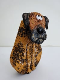 Image 2 of Border Terrier