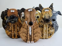 Image 5 of Border Terrier