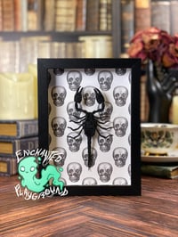 Image 1 of Faux Entomology Mount - Forest Scorpion