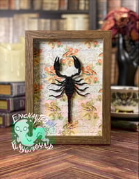 Image 2 of Faux Entomology Mount - Forest Scorpion