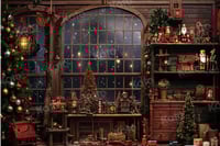 Christmas Photo Session 2025 November 15th and 16th