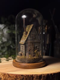 Image 2 of Lost Cabin