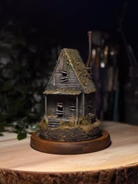 Image 7 of Lost Cabin
