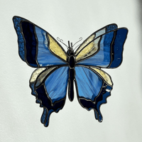 Image 1 of Le papillon céleste