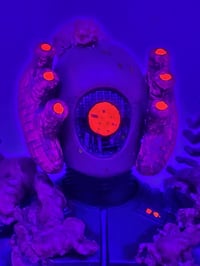 Image 5 of Korallion: Abyssal Collector