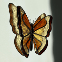 Image 2 of Le papillon de feu