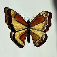 Image 1 of Le papillon de feu