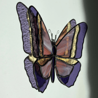 Image 2 of Le papillon du crépuscule