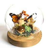 Image 1 of African Monarch Butterflies Woodland Globe