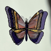 Image 1 of Le papillon du crépuscule