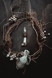 Image 1 of Crystal and bone necklace 