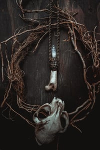 Image 2 of Crystal and bone necklace 