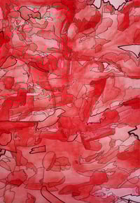 Viendo Rojo | Seeing Red