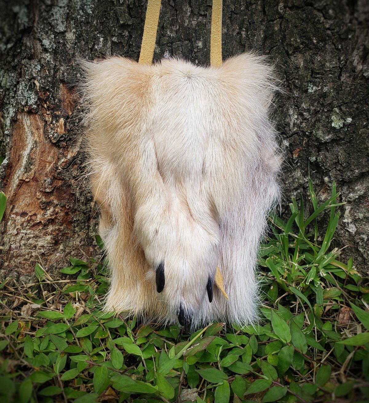 Image of Wolf Paw Bag