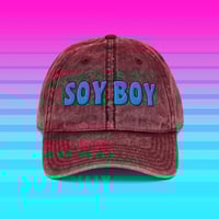 Image 6 of Soy Boy Embroidered Dad Cap