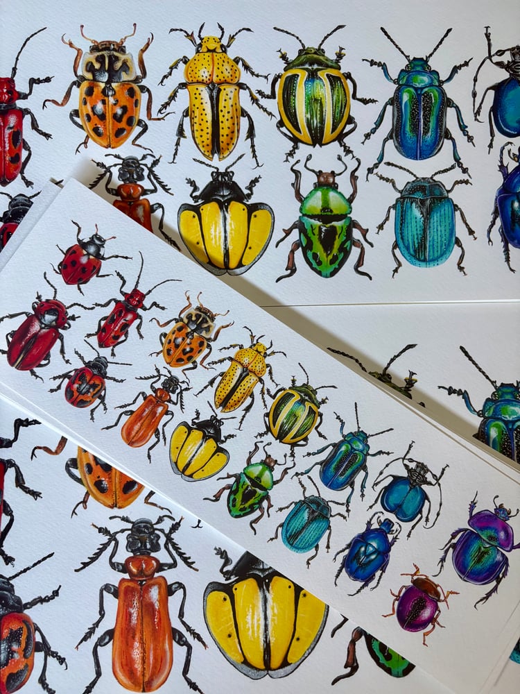 Image of 16 Beetles Print