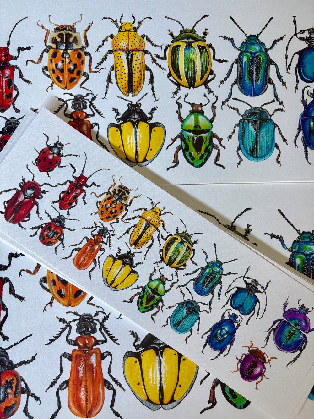 Image of 16 Beetles Print