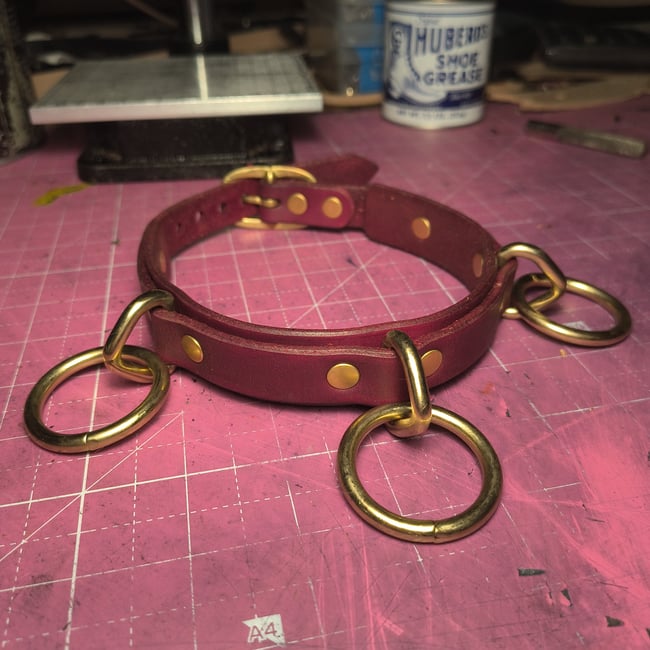 Three Ring Play Collar