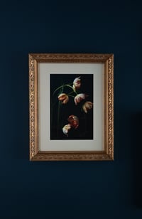 Image 1 of Still Life with Orange ParrotTulips no. 1 