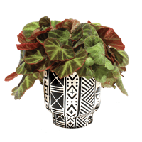 Image 4 of Bogolanfini Print Ceramic Planter