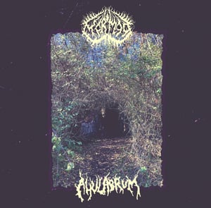 Image of Ahulabrum / Mörmoo – Split 12" LP