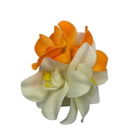 Image 2 of 2 Hawaiian Flower Hair Clip