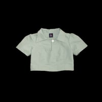 Sage Polo