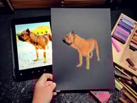 Image 7 of Custom Soft Pastel Boxer Portrait