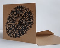 Image 2 of Limpet keepsake card & envelope