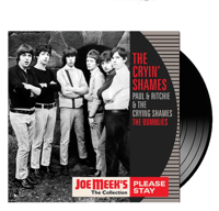 THE CRYIN' SHAMES - Please Stay