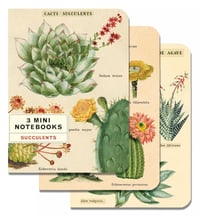 Image 1 of Cavallini & Co. Succulents Mini Notebook Set