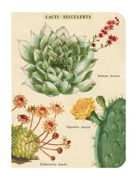 Image 2 of Cavallini & Co. Succulents Mini Notebook Set