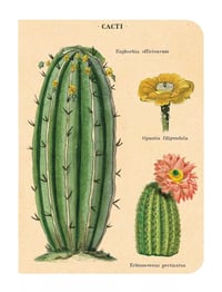 Image 3 of Cavallini & Co. Succulents Mini Notebook Set