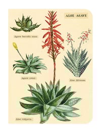 Image 4 of Cavallini & Co. Succulents Mini Notebook Set