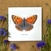 Image 1 of Small Copper Greeting Card