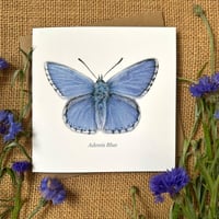 Image 1 of Adonis Blue Greeting Card