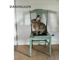 Image 7 of Bunny Love: pick in scroll down menu