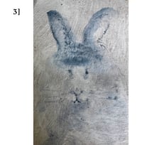 Image 3 of Bunny Love: pick in scroll down menu