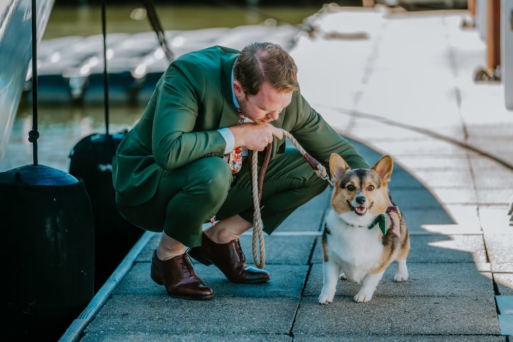 💖 Love in Focus Wedding Photography Collections 