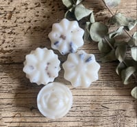 Spa Day Wax Melts (Pack of 4)