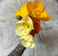 Image 2 of Leo Perfume (Bay, Saffron, Yuzu, Marigold)