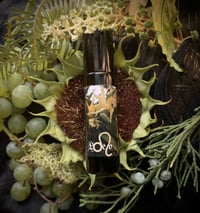 Image 1 of Leo Perfume (Bay, Saffron, Yuzu, Marigold)