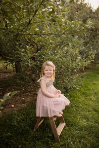 Image 3 of Apple Orchard Mini Session