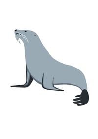 Teaching Video - week 4