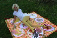 Image 3 of The "Eternal Picnic" Blanket