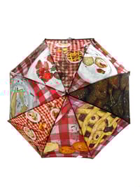 Image 2 of The "Nitpic umbrella"