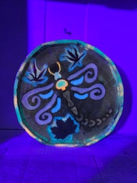 Image 4 of Dragonfly2 tray