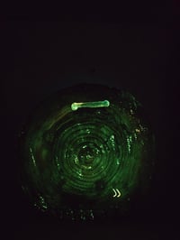 Image 7 of Dragonfly2 tray