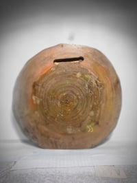 Image 5 of Dragonfly2 tray